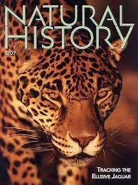 Natural History mag cover