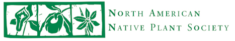 North American Native Plant Society logo