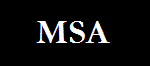 The Metaphysical Society of America logo